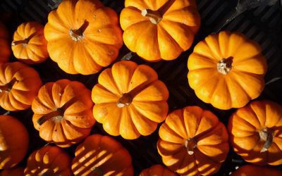 Anti-Cancer Food Spotlight: Pumpkin